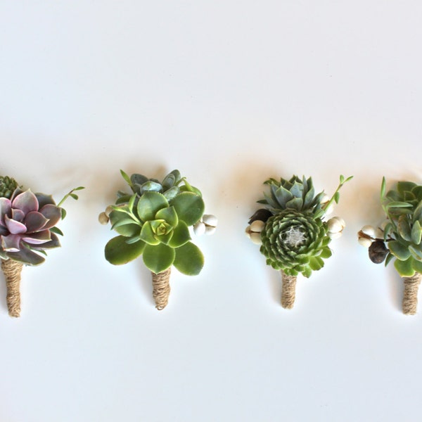 Double Succulent Boutonniere Sets