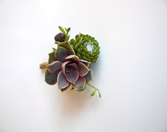 Purple Pink Succulent Boutonniere with Tallow Berry