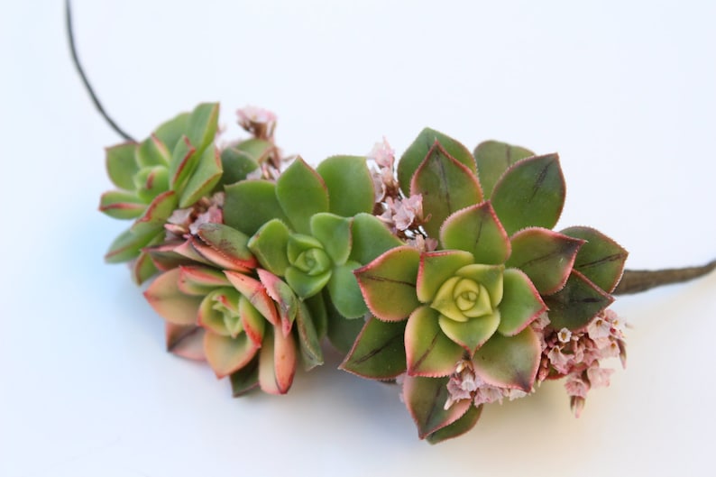 Succulent halo de mariée // Couronne succulente // Couronne de fleurs image 3