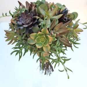 Earth Eden Succulent Bouquet image 4