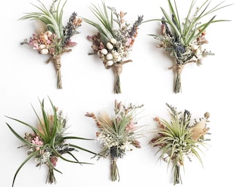 Air Plant Wildflower Boutonnières // Tillandsia boutonnières // mariage