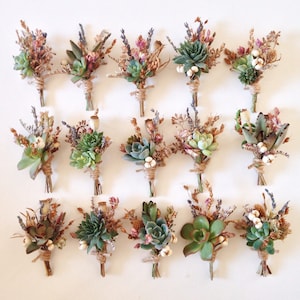 Succulent Boutonnieres // Flower Fields, Assorted image 2