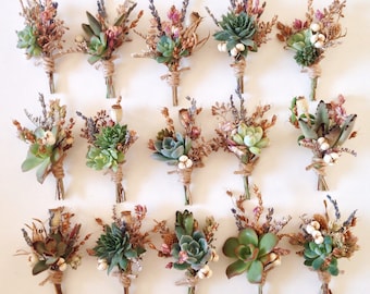 Succulentes boutonnières // Champs de fleurs