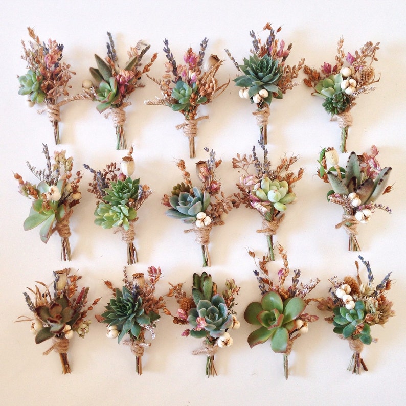 Succulent Boutonnieres // Flower Fields, Assorted image 2