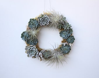 Succulent Wreath // Air Plants // Echeveria // Icy Blue