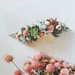 Jessica reviewed Succulent Hair Comb // Green and Pink