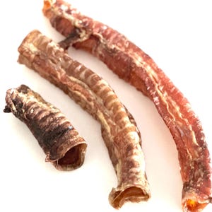 Può includere: Tre snack secchi per cani sono disposti su uno sfondo bianco. Gli snack sono di varie tonalità di marrone e beige, con un aspetto strutturato. Gli snack hanno una forma tubolare, uno dei quali è più corto degli altri. Si tratta probabilmente di snack masticabili per cani.