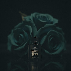 Witch House Perfume Oil | Witchy perfume | Gothic perfume oil