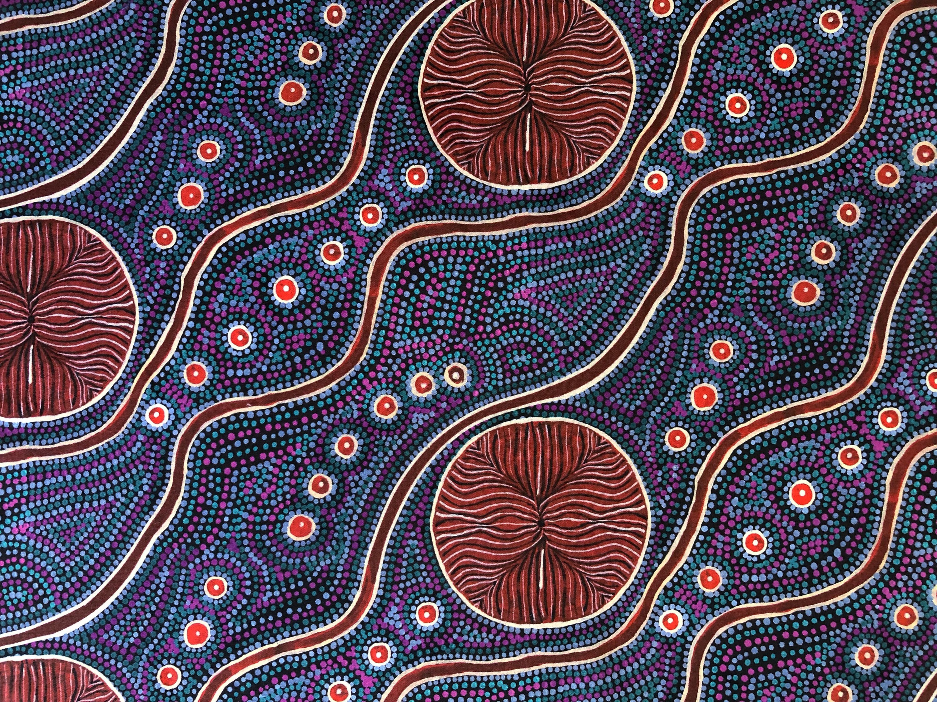 Aboriginal Art Warlu Snake Vine Dreaming Abstract Brown