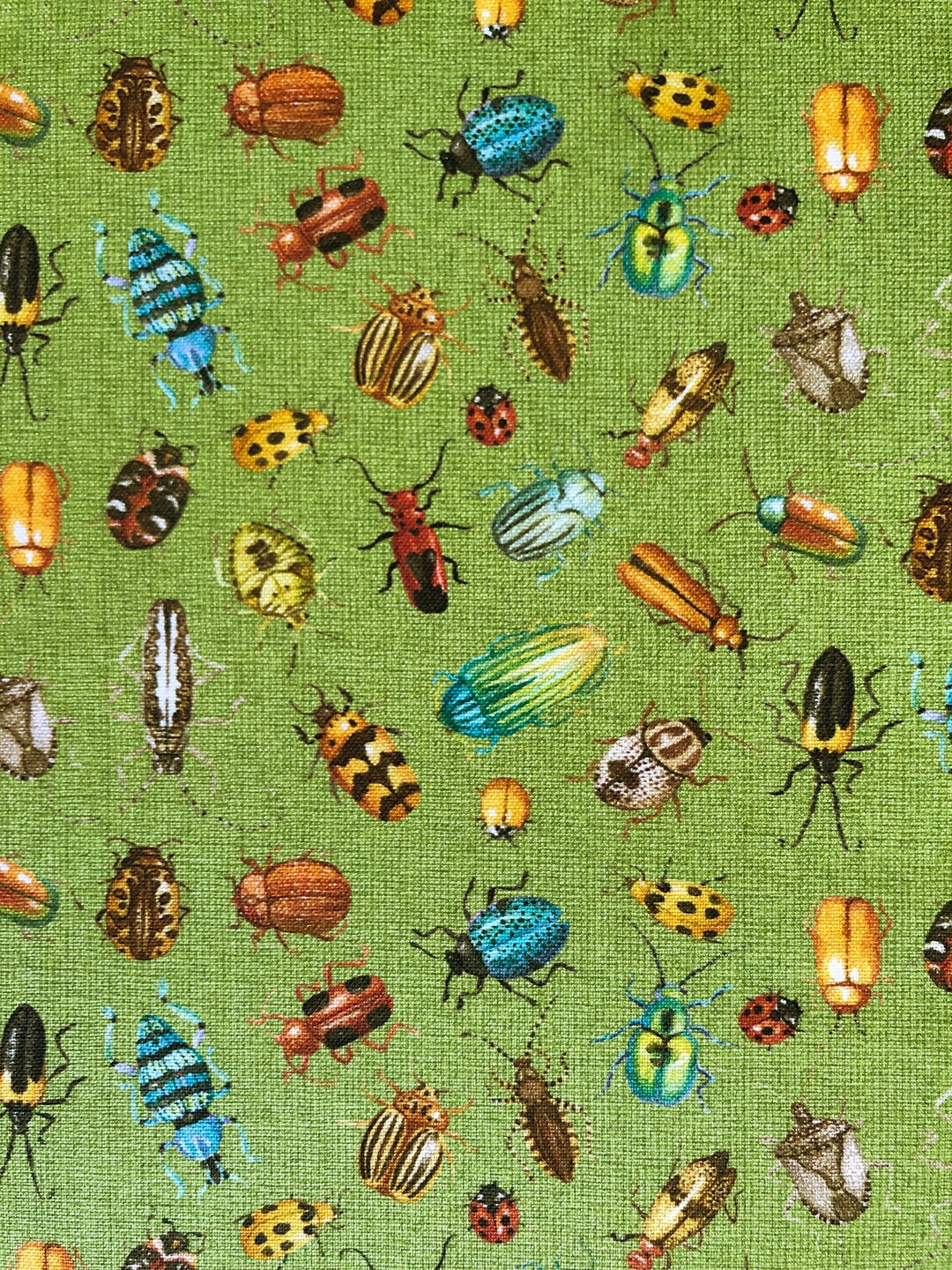 Nature Trail Bugs Green Quilting Cotton Fabric by 1/2 Yard or Fat