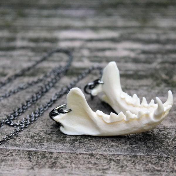 jaw bone necklace - mink jaw on gunmetal