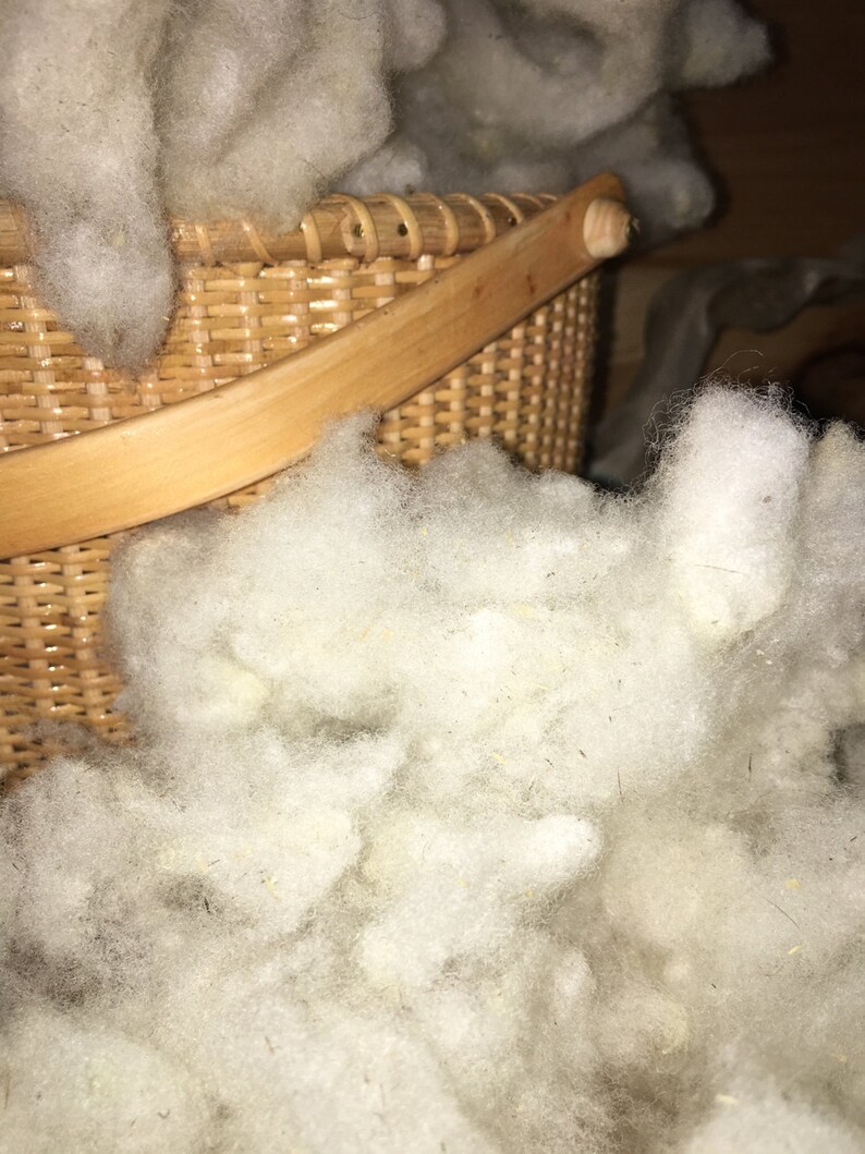 Wool stuffing fiberfill local Wool 4 OZ Brown/naturalecru Etsy