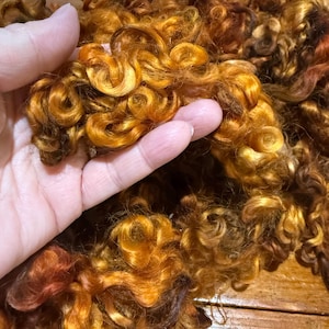 May include: Close-up of a hand holding a mass of curly, golden-brown wool fibers. The fibers have a rich, warm color palette with shades of orange, brown, and hints of red. The texture appears soft and voluminous, ideal for crafting projects.