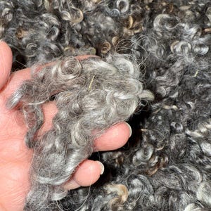 1 oz Lincoln Wool Locks, Grey & Dark Grey Curls, Doll Hair, Nisse Beard