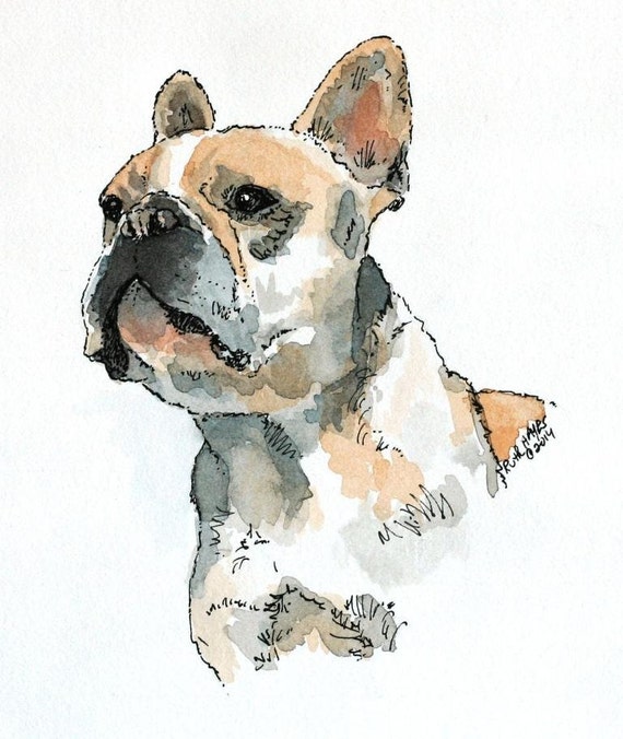 Watercolor animal sale portraits
