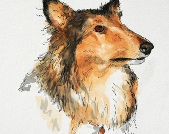 Custom dog portrait 5x7 watercolor pet memorial, animal art, pen and ink pet portrait, sable collie