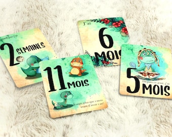 Carte étape bébé, première année bébé, mois anniversaires, souvenirs bébé, première année, recto verso douze mois, carte étape personnalisée