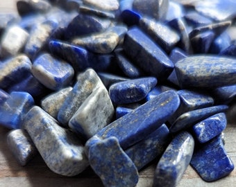 Natural Lapis Lazuli Tumbled Crystal Chips Stone Assorted Mixed Sizes Bulk 100 pcs Supply Lot