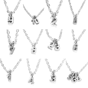 Personalized Number Pendant Necklace: Sterling Silver Plated, Custom Digits