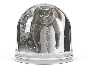 Personalized Pet Snow Globe, Custom Cat Dog Keepsake, Acrylic Frame
