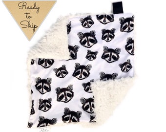 raccoon baby blanket