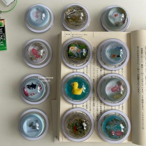 Puede incluir: Una colección de objetos decorativos redondos y transparentes con varias escenas en miniatura en su interior. Algunos presentan peces, un patito de goma y otros elementos. Los objetos están colocados sobre una superficie blanca, con un libro de fondo.