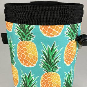 Pineapples Chalk Bag