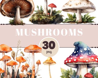 Mushrooms PNG Clipart – Realistic Forest Mushroom Illustrations for Journals, Scrapbooking & Crafts