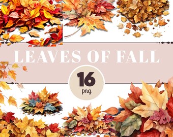 Herfstbladeren PNG-clipart – herfstbladerenillustraties voor tijdschriften, scrapbooking en seizoensknutsels