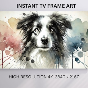 May include: Watercolor painting of a Border Collie dog with black and white fur, set against a backdrop of colorful paint splatters. The artwork is labeled "INSTANT TV FRAME ART" and "HIGH RESOLUTION 4K. 3840 x 2160".