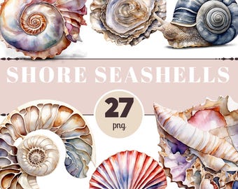 Seashells PNG Clipart – Watercolour Coastal Shell Illustrations for Beach Crafts, Journals & Scrapbooking