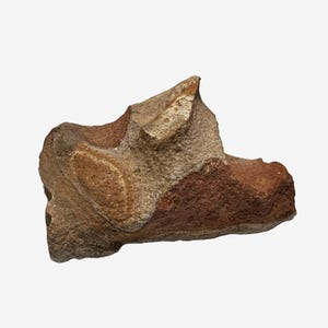 May include: A natural, irregularly shaped rock with a mix of colors. The rock features shades of brown, tan, and reddish-brown, with a textured surface. The overall shape is somewhat angular, with a prominent peak.