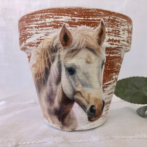 May include: A white terracotta planter with a distressed white finish features a painted image of a white horse's head. The horse has a light brown mane and a light brown muzzle.