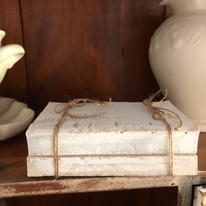 May include: Two white books stacked on top of each other. The books are tied together with twine. The books are sitting on a wooden shelf.