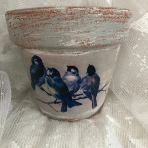 May include: A white ceramic flower pot with a distressed finish and a bluebird design. The pot has a rustic look and is decorated with four bluebirds perched on branches.