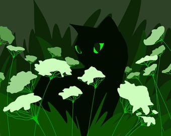 Cat Grass