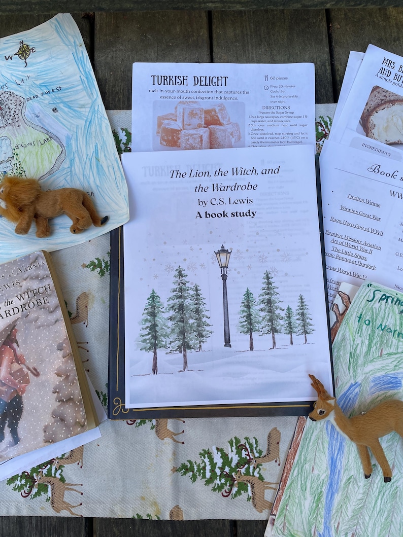 May include: An assortment of items related to the book "The Lion, the Witch, and the Wardrobe" by C.S. Lewis. Includes a book, a book study guide, a map, a recipe for Turkish Delight, and small toy animals.