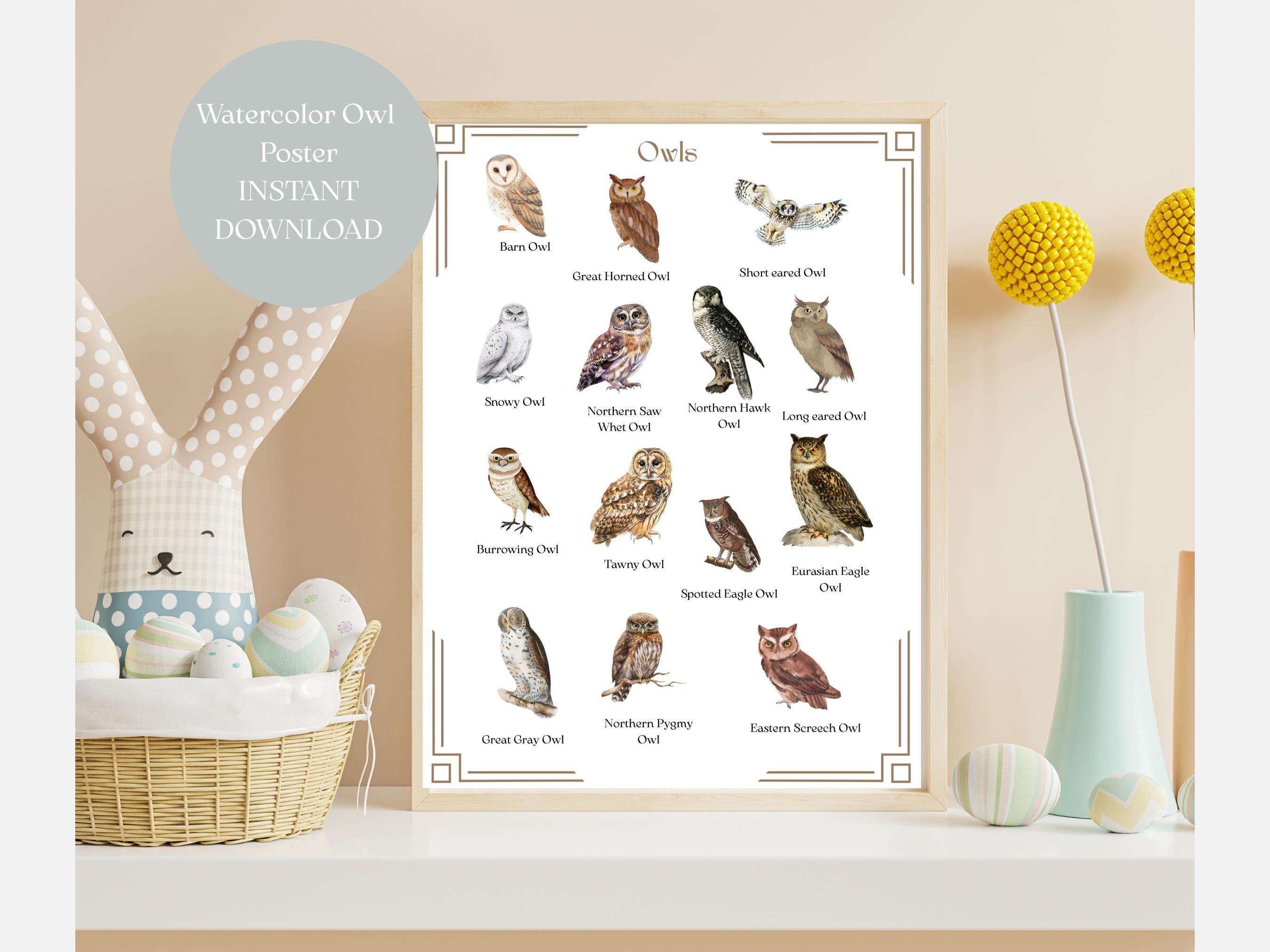Owl wall art for homeschool decor printable owl poster for nursery nature print watercolor poster fo