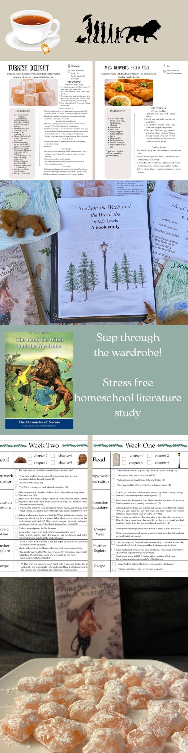 May include: Image features a book study guide for "The Lion, the Witch, and the Wardrobe" by C.S. Lewis. Includes study questions, activities, and recipes. The book cover is visible.