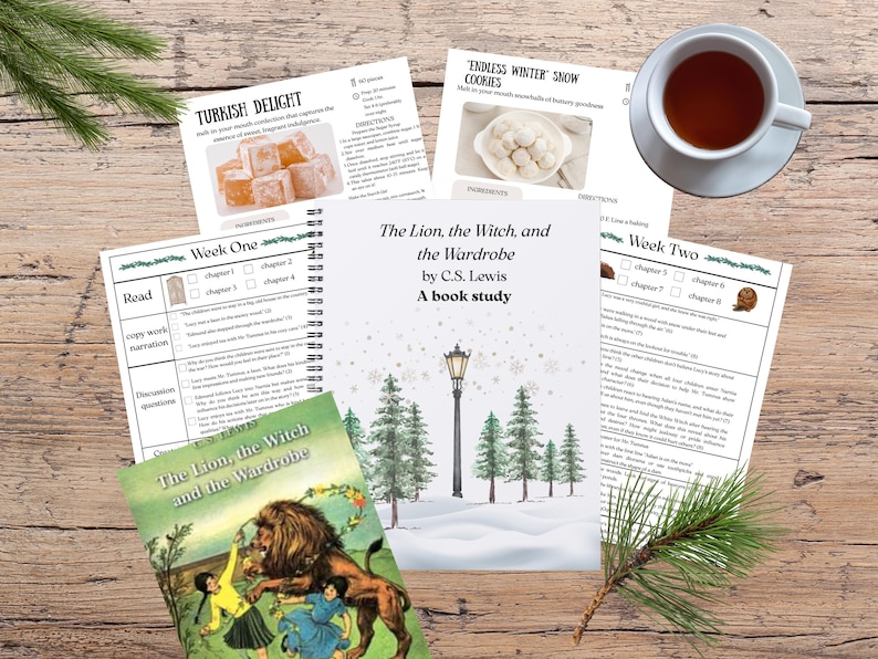 Homeschool book study Narnia