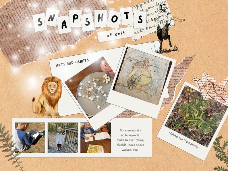 literature study pack Narnia activity