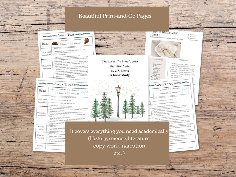 Narnia literature book club