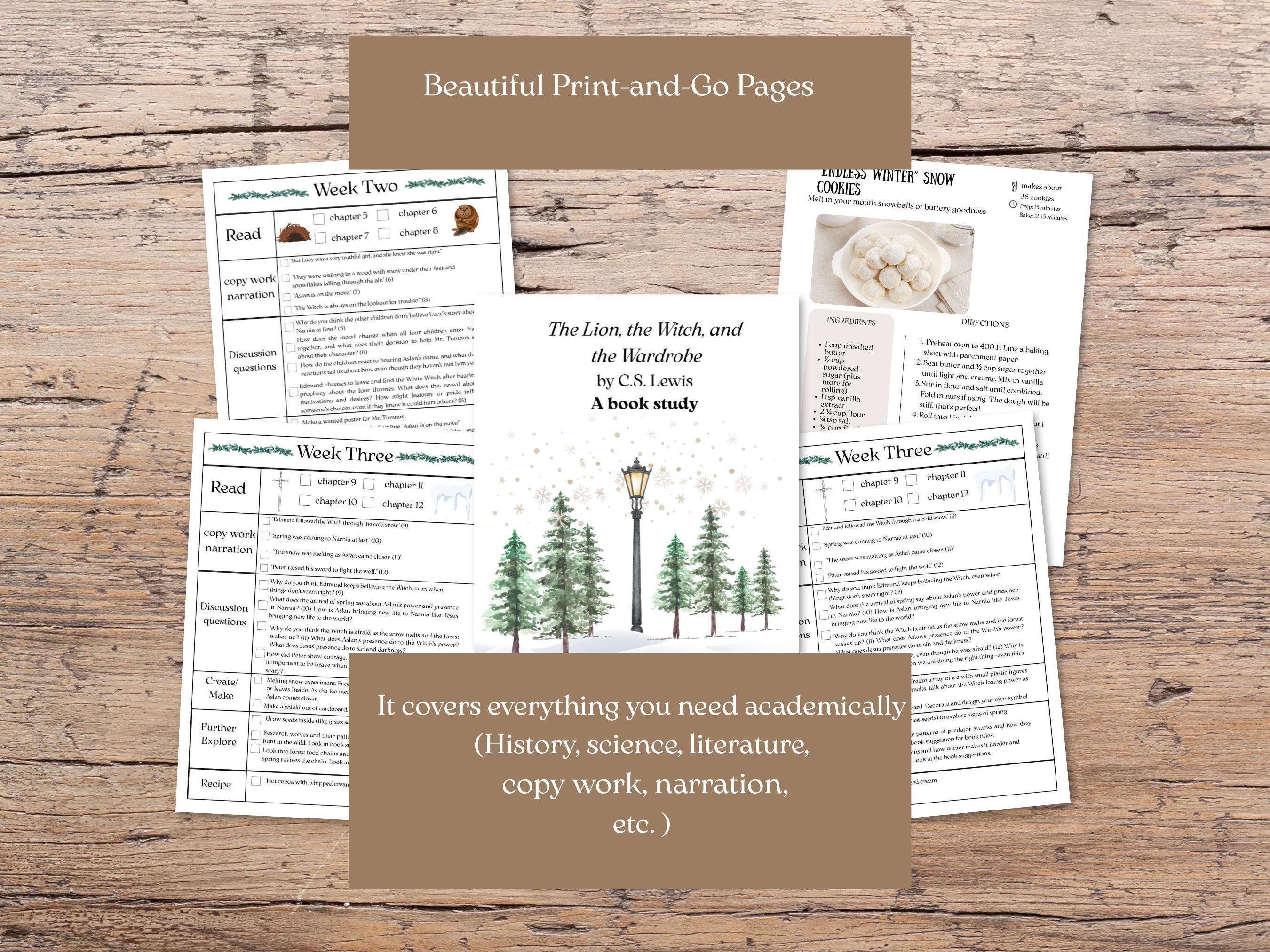 Homeschool Book Study Narnia Literature Book Club Reading Guide Hands ...