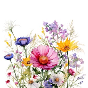 Florist Gift / Care Cards. My Garden Series
