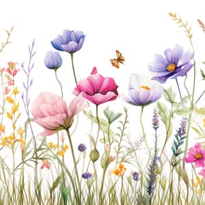 Florist Gift / Care Cards. Wildflower Border Series