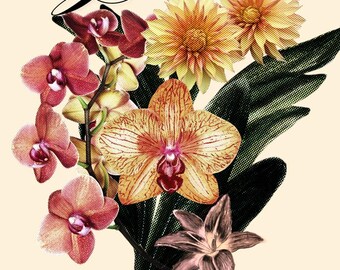 Jardin Botanique Printable Wall Art - Vintage Botanical Flowers Poster - French Floral Art Digital Download - Home Decor