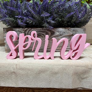 Peut inclure: Un panneau en bois rose épelle le mot "Spring" dans une police cursive. Le panneau est placé devant un bac à plantes en bois rempli de faux lavande violet. L'arrière-plan est un tissu beige neutre.