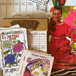 4 naipes con semillas vintage individuales para el diario de tu jardín Flores Aster y Cosmos