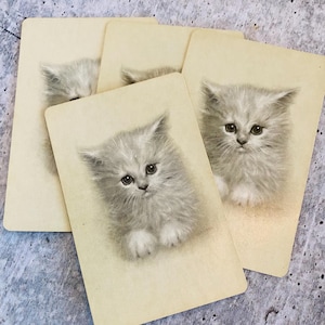 4 naipes vintage de papel con diseño de gatitos peludos blancos de escalera real para etiquetas de regalo, efímeras, para amantes de los gatos, mamás, señoras, diarios basura, marcapáginas, animales de compañía.