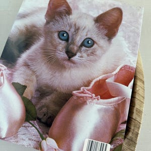Op de afbeelding: Een lichtgekleurde kat met opvallende blauwe ogen rust op een oppervlak met roze balletschoenen en rozen. De kat is het middelpunt, met de balletschoenen en bloemen die een vleugje elegantie toevoegen. De afbeelding heeft een zachte, dromerige kwaliteit.